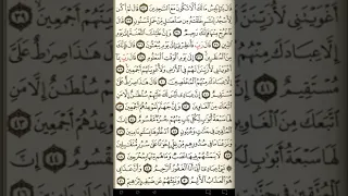 ماهر المعيقلي سورة الحجر مكتوبة صفحة 264 مصحف المدينة المنورة جودة عالية 