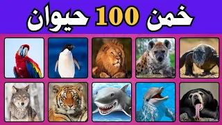 هل تستطيع تخمين 100 حيوان خمن أسم الحيوان من الصورة سهل متوسط صعب مستحيل الغاز الحيوانات 