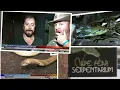 Wilson s World Experiencing the Cape Fear Serpentarium June 2016