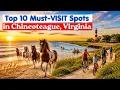 Top 10 Things to Do in Chincoteague Virginia Beaches Wild Ponies More