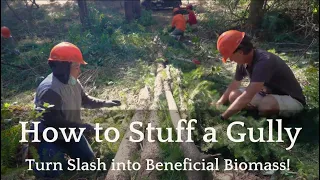 Gully Stuffing: How To Turn Slash Into Beneficial Biomass