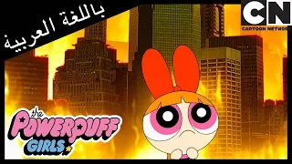 فتيات القوة عالم صغير كارثة الخدعة كرتون نتورك دندنها