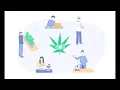 The Best Marijuana Jobs Salaries