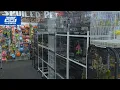 Myrtle Beach pet store fights to restore Facebook page after AI flagging
