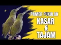 Download Lagu PANCINGAN PIJANTUNG GUNUNG AGAR CEPAT GACOR