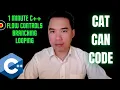1 Minute C Flow Controls Branching Looping Cat Can Code