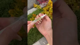 Https Www Tiktok Com T ZTHnoYADAUn89 S6srK 