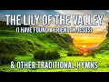 Download Lagu Lily of the Valley - I Have Found a Friend in Jesus - 1 Hour of Traditional Hymns