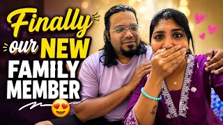 Finally our new member😍shitzu daily care😊Thanjavur couple Reji💜John #dog #minivlog #shitzu 