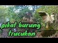 Download Lagu Pikat trucuka part I
