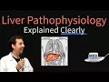 Liver Explained Clearly - Pathophysiology LFTs Hepatic Diseases