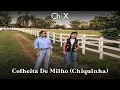 Download Lagu Chitãozinho \u0026 Xororó - Colheita de Milho (Chiquinha)