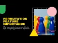 What is permutation importance and how to apply it for getting global feature importance