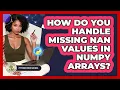 How Do You Handle Missing NaN Values In NumPy Arrays - Python Code School