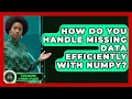 How Do You Handle Missing Data Efficiently With NumPy - AI and Machine Learning Explained