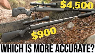 Cheap Rifle vs. Expensive Rifle: Does Price Buy Accuracy?