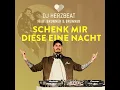 Schenk' mir diese eine Nacht