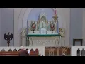 Download Lagu Thursday 8 AM Traditional Catholic Mass 10/16/2025