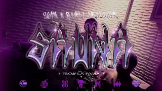 SAUNA - 26is