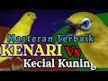 Download Lagu Isian Terbaik kecial kuning vs kenari