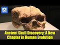 Download Lagu Ancient Skull Discovery: A New Chapter in Human Evolution