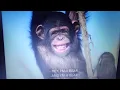 Download Lagu The Jungle Book: Mowgli's Story Chimpanzees