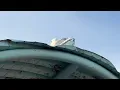 Epic white rock vlog