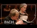 Download Lagu Bach - Cantate Selig ist der Mann BWV 57 - Bonizzoni | Nederlandse Bachvereniging