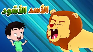 الأسد الأسود حيوانات الغابة  الأسد الأسود حيوانات الغابة
