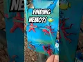 Could you Find Nemo if you were only given the names of Nemo s friends