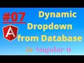 How to create Dynamic dropdown From Database in Angular 9 and web api 3 0 Create API Part-7