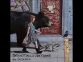 Red Hot Chili Peppers - Go Robot