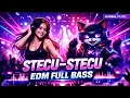 Lagu STECU–STECU EDM Cover 🔥 Full Bass Progressive House  DJ Remix 2026 –Tune Globe