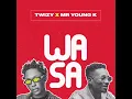 Twizy - Wasa (Official Audio) Ft - Mr Young K