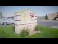 Le Chateau Pet Resort Amarillo Texas