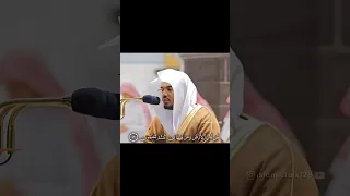 Surah Muminoon 84 87 By Sheikh Yasser Al Dossari Qul Limanil Arzu Best Recitation Ever  Surah Muminoon 84 87 By Sheikh Yasser Al Dossari Qul Limanil Arzu Best Recitation Ever