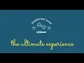 PetSmart Doggie Day Camp The Ultimate Dog Day Care Experience