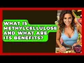 What Is Methylcellulose And What Are Its Benefits - Obesity Fighters Club