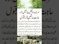 Download Lagu Sirf 2 Rakat Nafal Aur Hajat Pori |#bikhraymoti