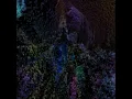 Creative Coding with Processing - Sueun Lee