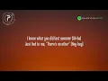 Shawn Mendes & Camila Cabello - I Know What You Did Last Summer (Lyrics)