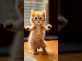 Download Lagu Mèo nhảy -  Cat dancer