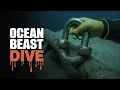 50 Meters Down The Dive That Pushed Us to the Edge Vlog