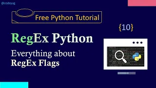 Regex in Python - 10 Flags in Python Regex Python Tutorial for Beginners in Hindi