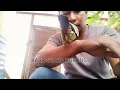 Download Lagu Punai Gacor, Suaranya Cocok Buat Mikat, kumpulan Suara Punai (Karo Suara Burung Original)