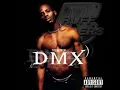 Download Lagu DMX - Ruff Ryders Anthem (Megamix) ft. Method Man, Redman, JT The Bigga Figga, Master P, Tracey Lee