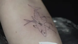 Realistic Micro Shark Tattoo Skyler Espinoza Timelapse