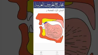 صوت الراء المفخمة Shorts 