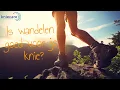 Is wandelen wel of niet goed voor je knie?