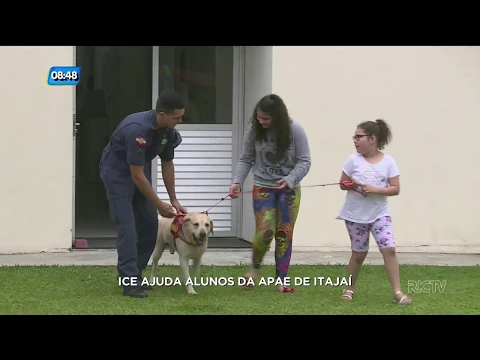 Ice, cão do corpo de bombeiros de Itajaí, ajuda alunos da Apae